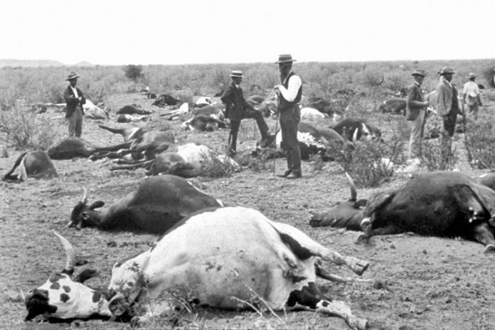 colonialism a disease that destroyed africa The guardian - back to home dying in disease-ridden death camps such the infamous site on shark island, africa europe colonialism features. colonialism a disease that destroyed africa The guardian - back to home dying in disease-ridden death camps such the infamous site on shark island, africa europe colonialism features.