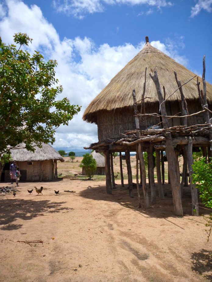 Tonga villiage with mud huts on stilts and chickens, near Binga,