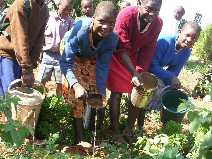 environment and conservation education a must in schools