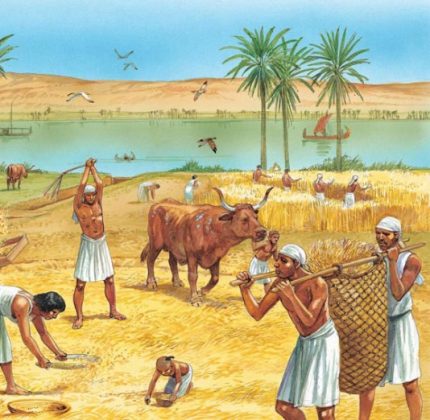 egitto nile civilizations cereali nell cucina reform serfs egyptians egizia mangiava peasants pharaohs coltivazione mondoecucinaconizumi farm sutori pyramids