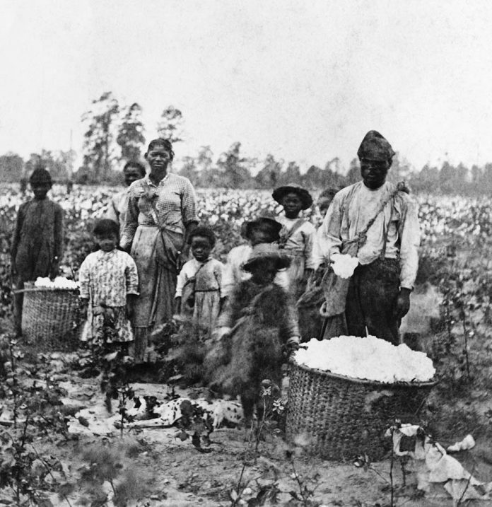Slave Family In Cotton Field near Savannah