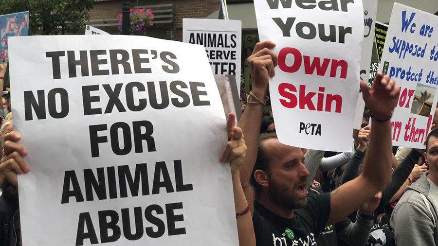 Animal rights groups exposed …loud on wildlife, but silent on climate change | Celebrating Being Zimbabwean Animal rights groups exposed …loud on wildlife, but silent on climate change | Celebrating Being Zimbabwean