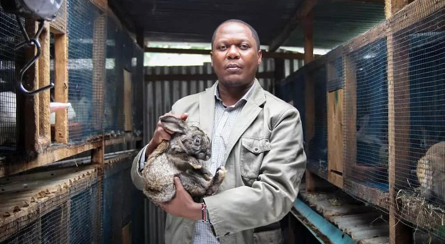 Rabbit farming way to go - Celebrating Being Zimbabwean